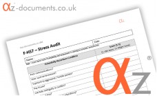 F-HS7 Stress Audit Form
